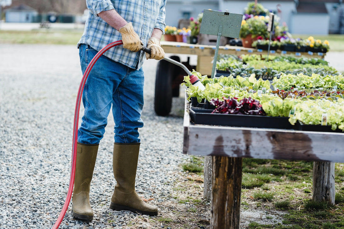 sproeien van planten met regenwater